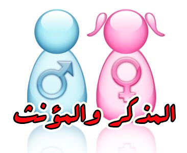 wazan-muzakkar-muannas-sama