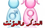 wazan-muzakkar-muannas-sama